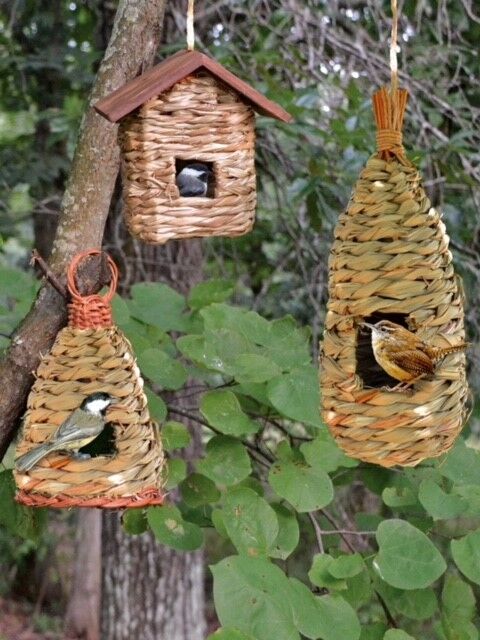 Roosting pockets